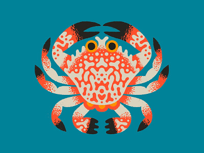 Rock Crab