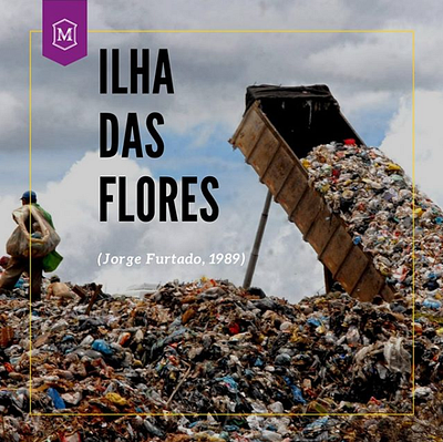 Curta Ilha das Flores