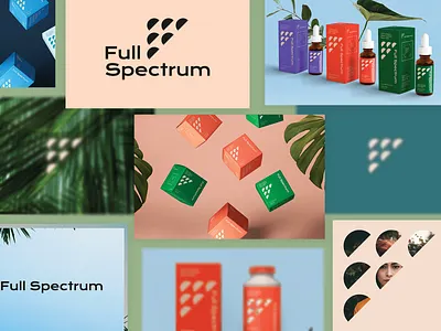 Full Spectrum Hemp Concept Lookbook boxes branding brooklyn cbd denver design geometic health hemp identity laxalt logo nevada packaging reno tincture typography