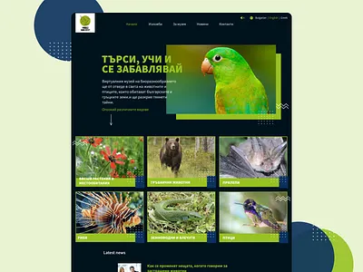 Virtual museum homepagedesign web app web app design web application design web design webdesign website website design