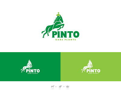 Pinto Logo abstract logo creative crown eco horse leaf logo luxurious modern pinto plants symbol