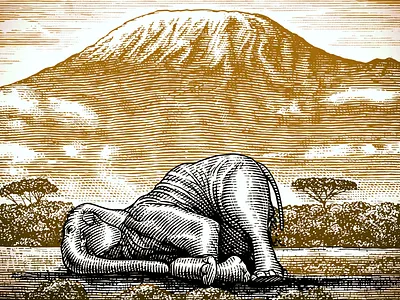 The Sleeping Elephant Illustration artwork illustration illustrator pen and ink scratchboard steven noble woodcut
