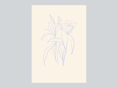 Lilies brand design brand designer bring corporate identity graphic designer illustration logo design minimal branding packaging design visual identity