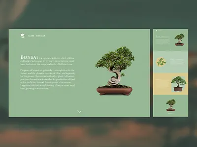 Bonsai bonsai dailyui dailyui 003 landing page landingpage