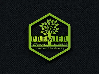 Premier logo design 3d art branding creative creative design design flat graphic design icon illustration logo logo design logodesign logos logotype minimal signature vector