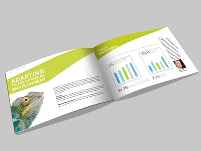 Corporate overview A5 booklet branding typography