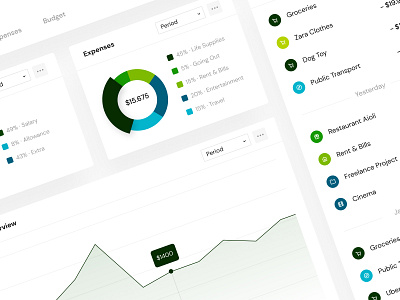 Financial Overview - Part 1 app banking budget dashboard desktop expenses finance fintech income money savings