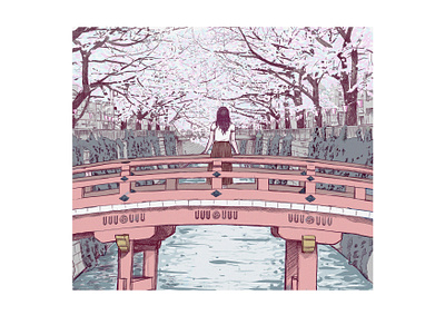Japan Cherry Blossoms cherry cherry blossom cherryblossom japan japanese