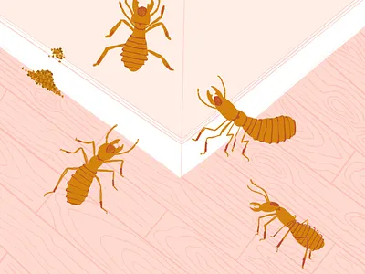 Termites bug buggy bugs illustration ipad pest procreate termites wood
