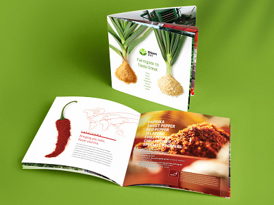 Sales Brochure Design branding creative direction design food and agriculture graphic design photography sales brochure