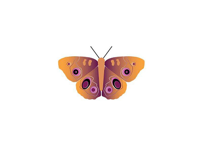 received 751966498645230 butterfly design illustration