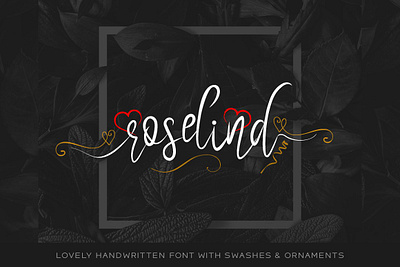 Roselind Font + Swashes & Ornaments designova font font design font family fonts handmade handwriting handwritten minimal minimalist sell selling type typeface typeface design typeface designer typeface. lettering typefaces typography webfonts