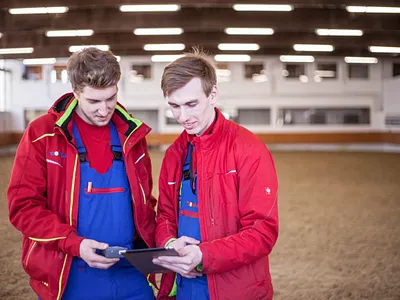 Domlex Marketing domlex foto logo