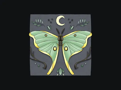 Lunar Moth Illustration digital drawing digital illustration digital illustrator digital painting digitalart illustration illustration art illustration design illustrator
