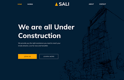 SALI Landing Page design ui