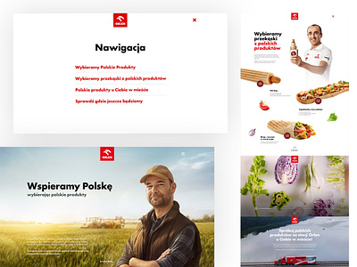 Orlen website design jamdave red sketch typography ui ux web website