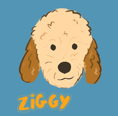 Pet portrait - Ziggy digital illustration dog illustration doodle art illustraion pet portrait