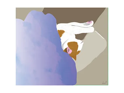 Sleeping Spritz cat cat art cat illustration illustration sleeping cat vector