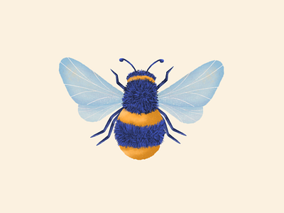 Honey Bee animal animal art animal illustration art bees bumblebee character clean concept design dribbble graphic design honey bee dribbble honeybee illustration illustrator insect minimal pollination wings