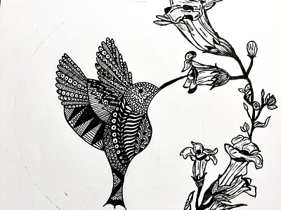 Zentangle drawing illustration sketching