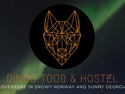 Dingo Tour Business Cards businesscard design logo