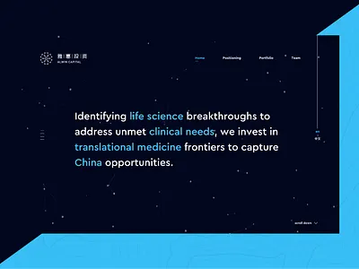Alwin Capital design front end development minimal ui ui design ux design ux vector web website