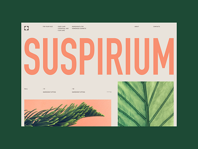 Suspirium abstract color colorful composition design flat geometric grid header landing layout minimal minimalism nature plants typography ui ux design vector web webdesign