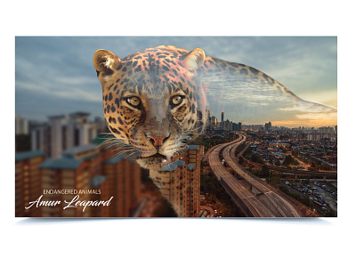 Digital Awareness Art - 1 animal animals awareness awareness campaign crime digitalart elephant endangeredspecies fast gorillas killing leapord moving photoshop save turtle wild animal wildlife world