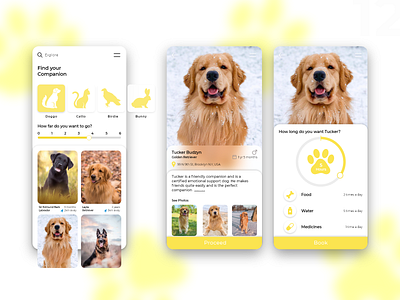 Mobile Application to book a companion for a day adobe xd animal app app design companion design flat mobile pet ui uidesign ux uxdesign