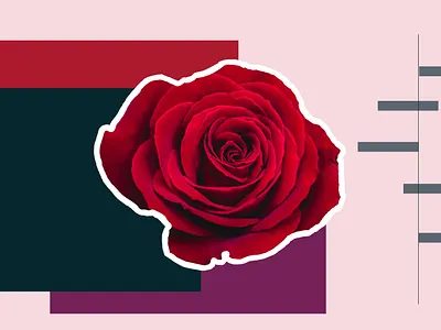 Study in Red gray purple red vector vector art