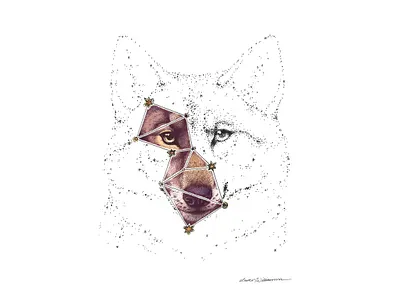 Wolf constellation animal art animal illustration astrology constellation constellations digital art drawing lupus pen drawing stars wolf