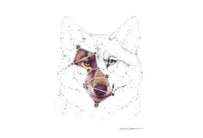 Wolf constellation animal art animal illustration astrology constellation constellations digital art drawing lupus pen drawing stars wolf