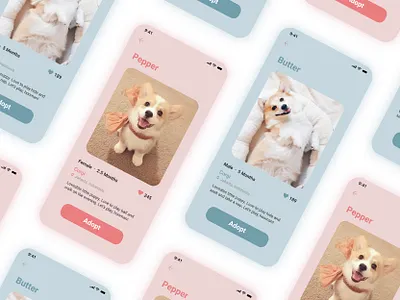 Pet Adoption Application app branding dailyui design flat icon minimal ui ux