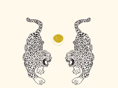 Onça draw illustration linedrawing outline