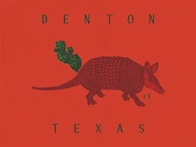 Denton Texas armadillo cactus denton illustration retro texas texture