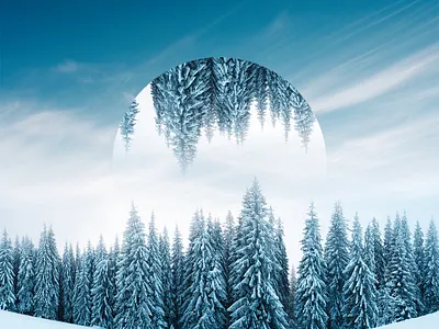 Winter Reflect 2 art color desginer design photoshop snow texture trees winter