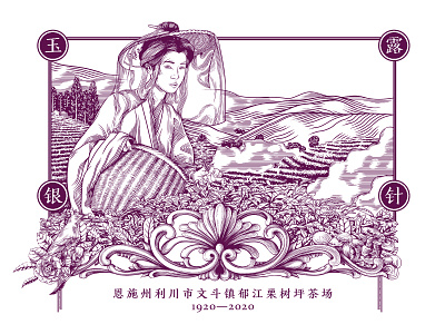 Tea picker illustration