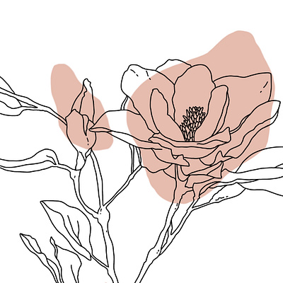 magnolia line art contour design digital art hand drawn illustration isolated line art magnolia pink