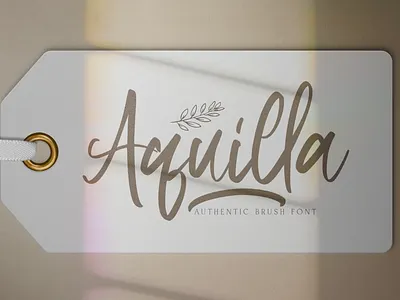 Aquilla - Brush Script Font authentic brush calligraphy casual elegant font handlettering handwritten handwritting logotype modern script typography vintage whimsical