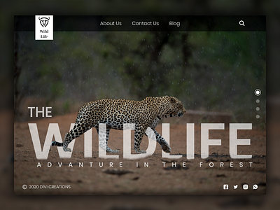 Wildlife Advanture Website UI Design Mockup graphic design illustraion typography ui web ui website design