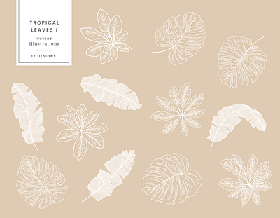 Tropical Leaves Vector Illustrations design drawing etsy graphicdesign illustration leaves nature plants tropical vector