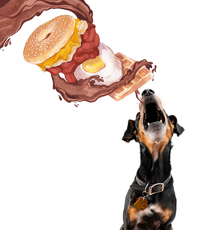 Dog eating sandwich adobe illustrator adobe photoshop graphic design illustration marketing
