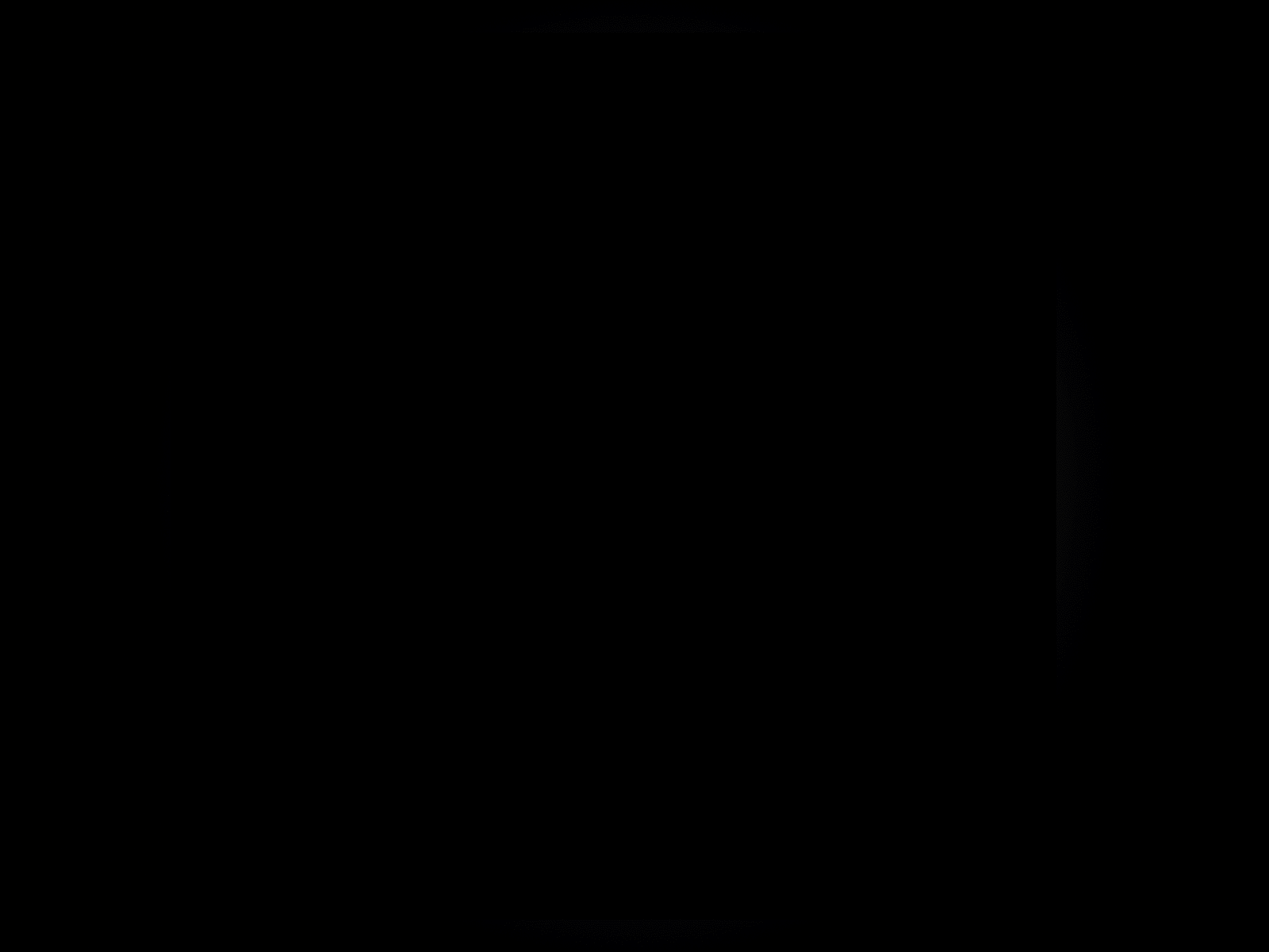 Wendi Design Logo Animation 2020 aftereffects art direction branding logo