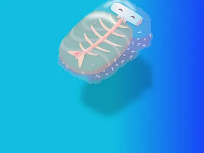 SUSHI 3d art adobe adobe xd design illustration sushi vector