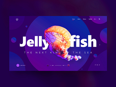 Jellyfish animal design gradient jellyfish landing page ui ux web webdesign