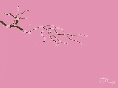 Spring blossom branding design flat graphic design illustration kosar khonakdar minimal new year nowruz photoshop vector