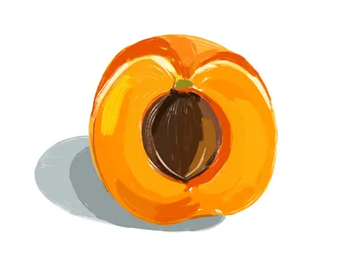 Ingredient Illustrations for Skincare Brand agency design illustration social media design