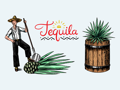 Tequila making agava badge beverage design engraved engraving hand drawn illustration liquor mexican tequila tequila making vintage