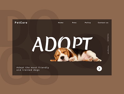 PetCare animation app art design graphic design illustration typography ui ux website
