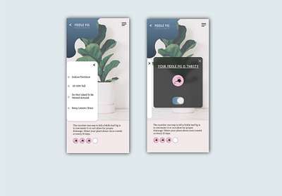 Plant Water APP dailyui dailyui016 design plantapp waterapp